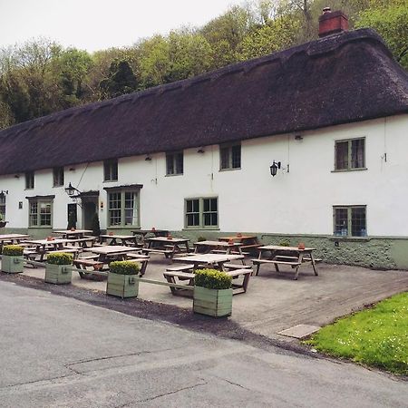 Hambro Arms Hotel Milton Abbas Bagian luar foto