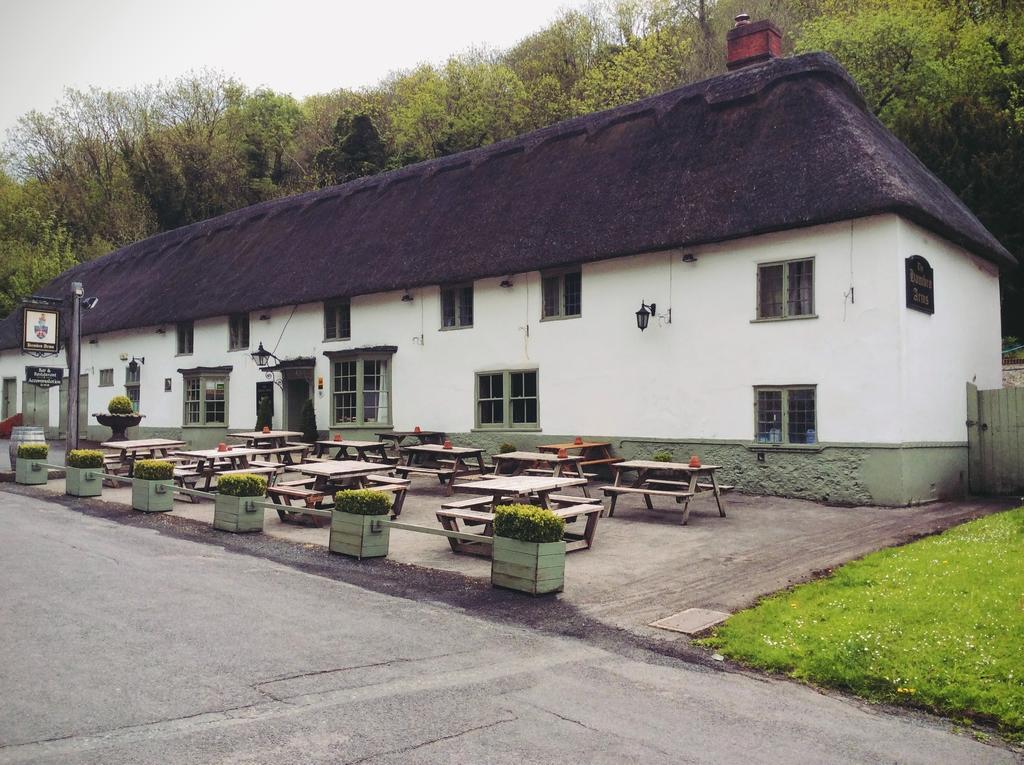 Hambro Arms Hotel Milton Abbas Bagian luar foto