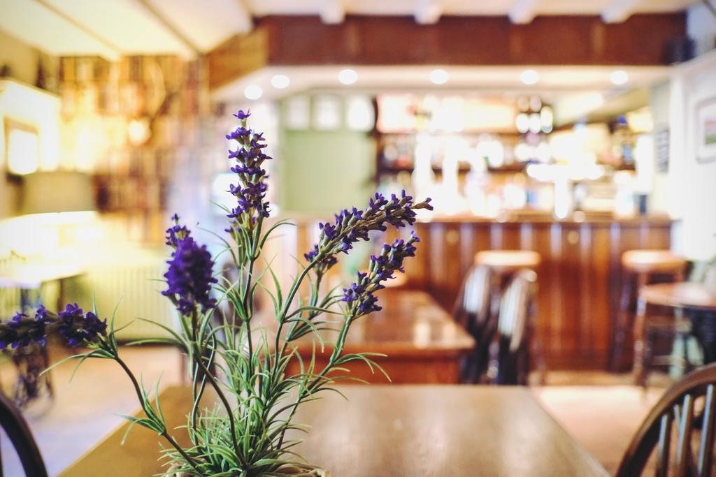 Hambro Arms Hotel Milton Abbas Bagian luar foto