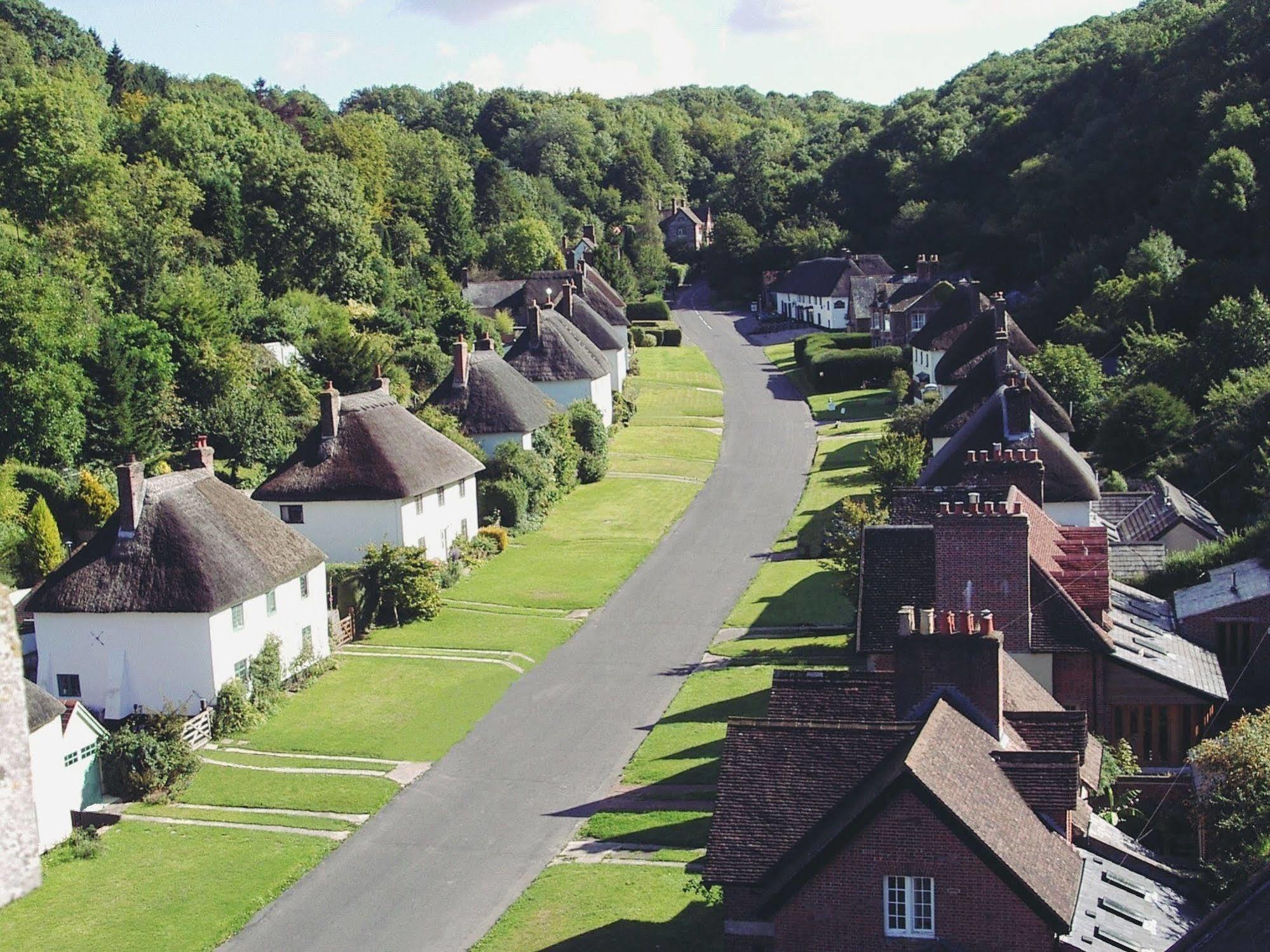 Hambro Arms Hotel Milton Abbas Bagian luar foto