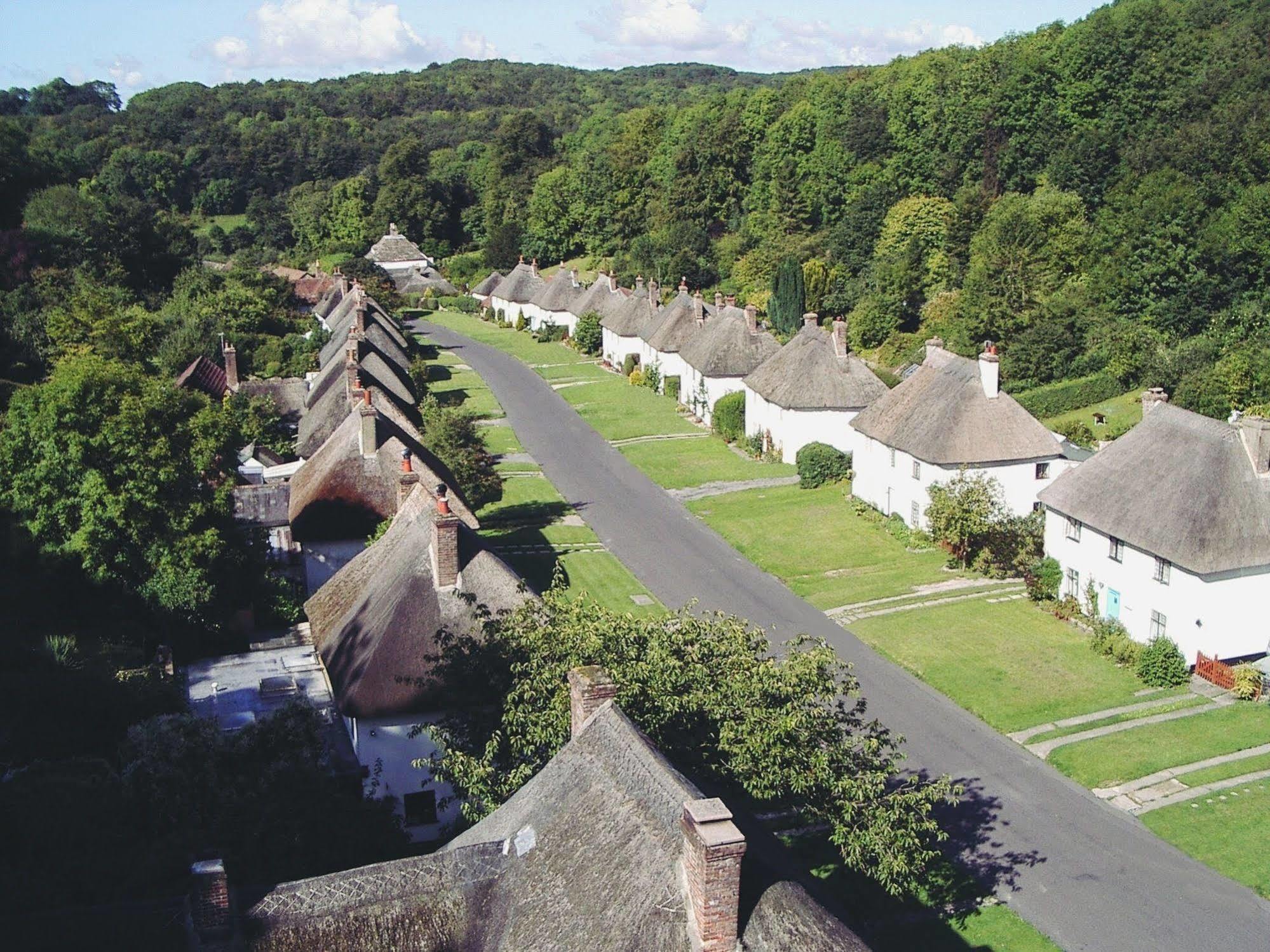 Hambro Arms Hotel Milton Abbas Bagian luar foto